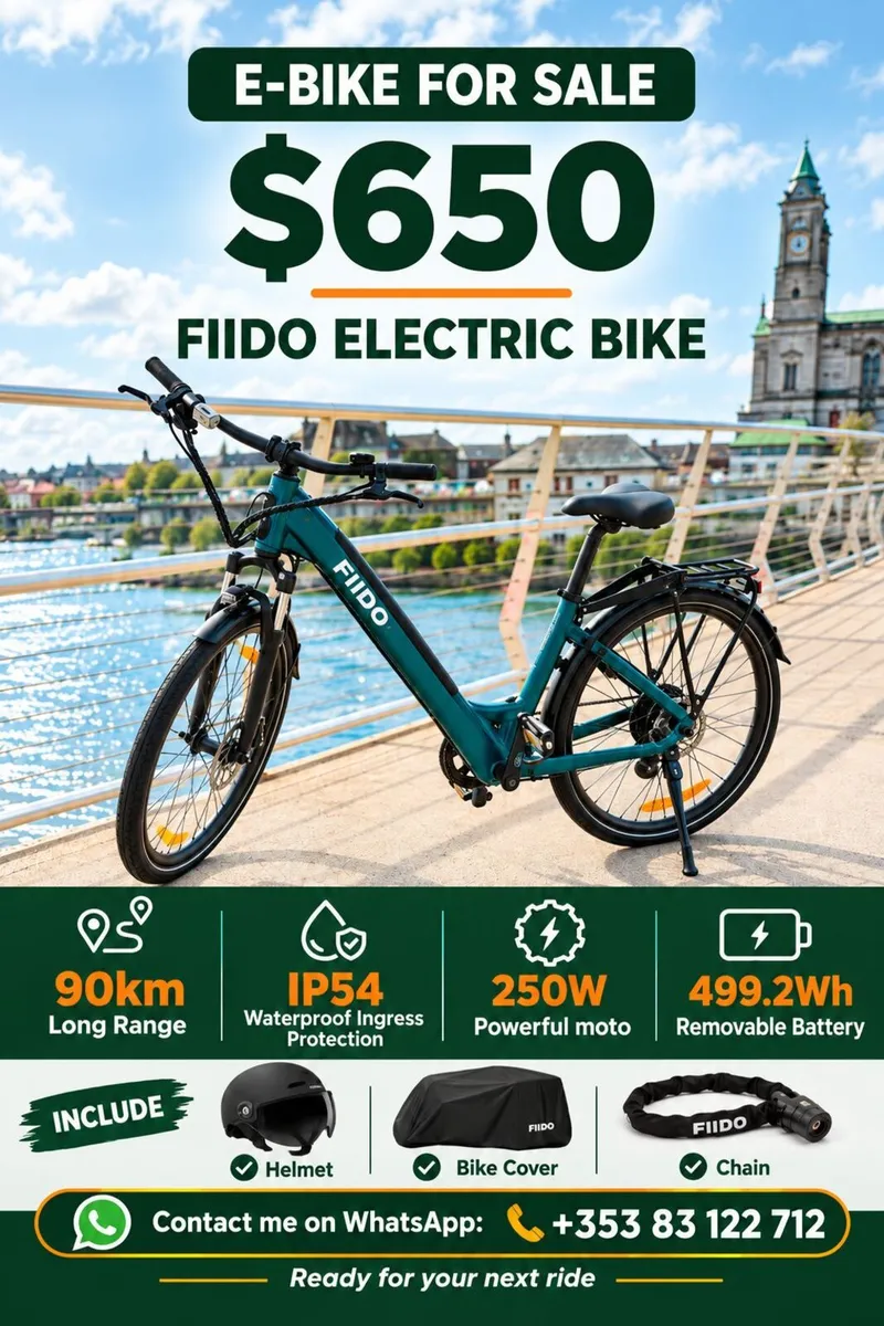 FIIDO C11 Electric Bike - Image 1