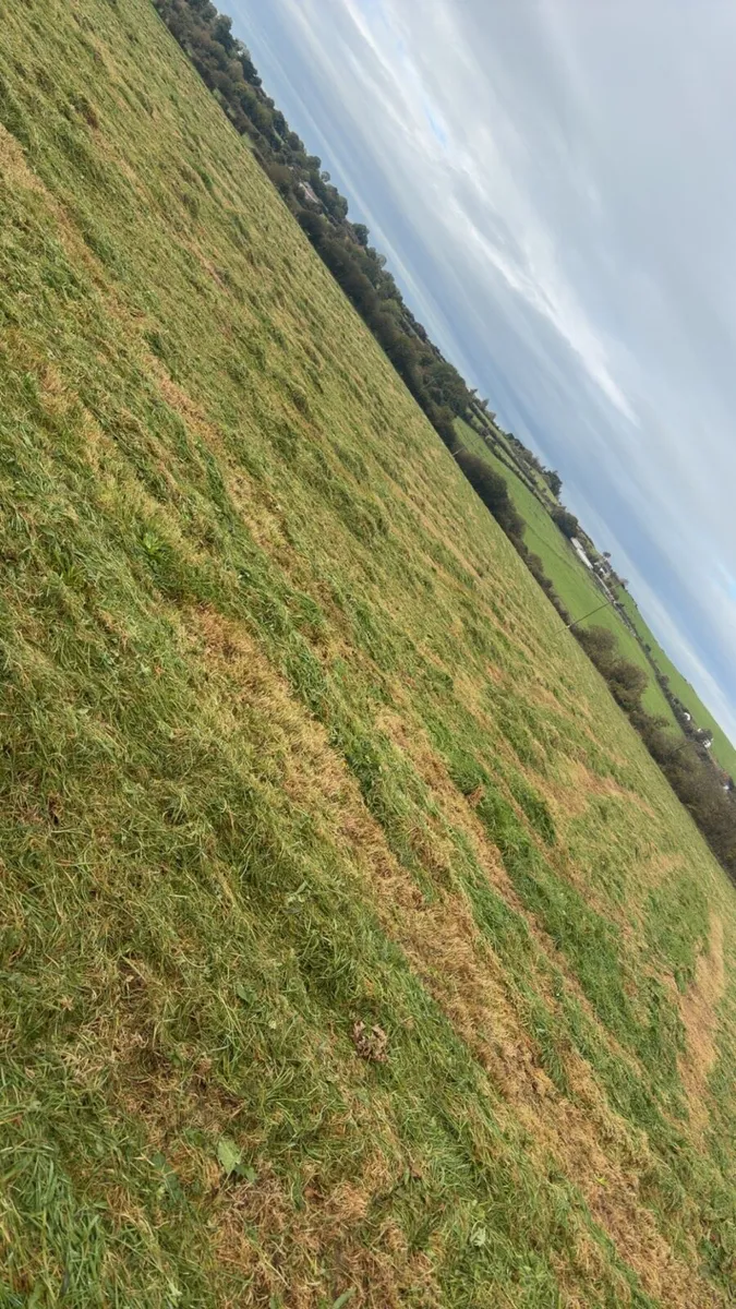 Silage Bales Clonoulty - Image 2