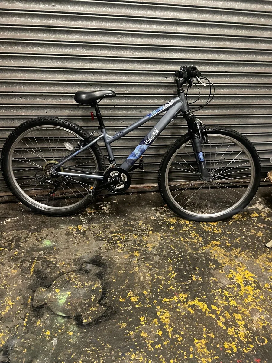 Ladies mountain bike - Image 1