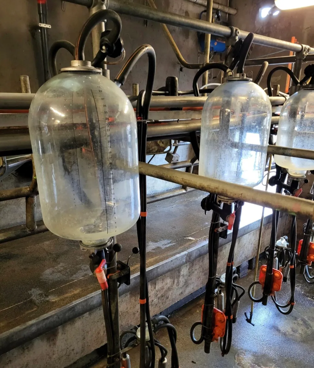 60L Milking Jars - Image 1