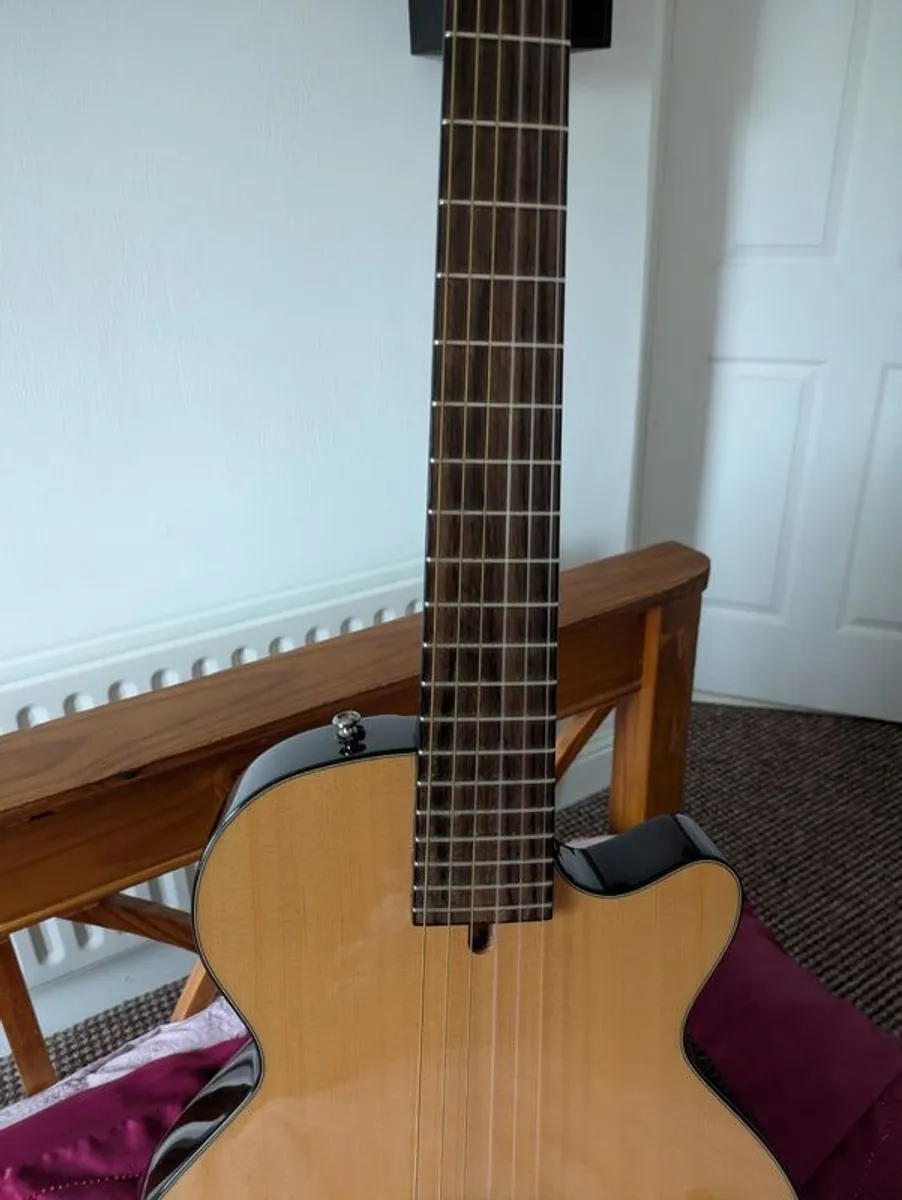 Cort Nylectric Guitar - Image 2