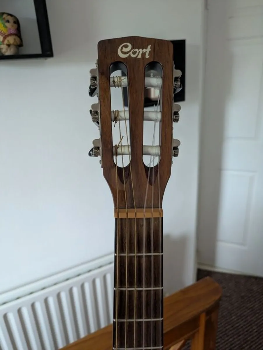 Cort Nylectric Guitar - Image 3