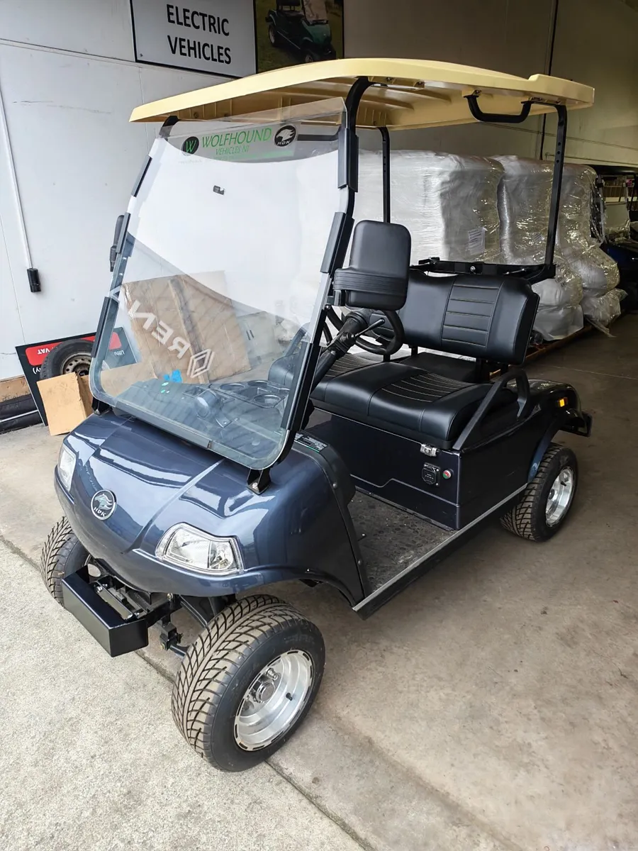 Electric Golf Buggy - Image 1