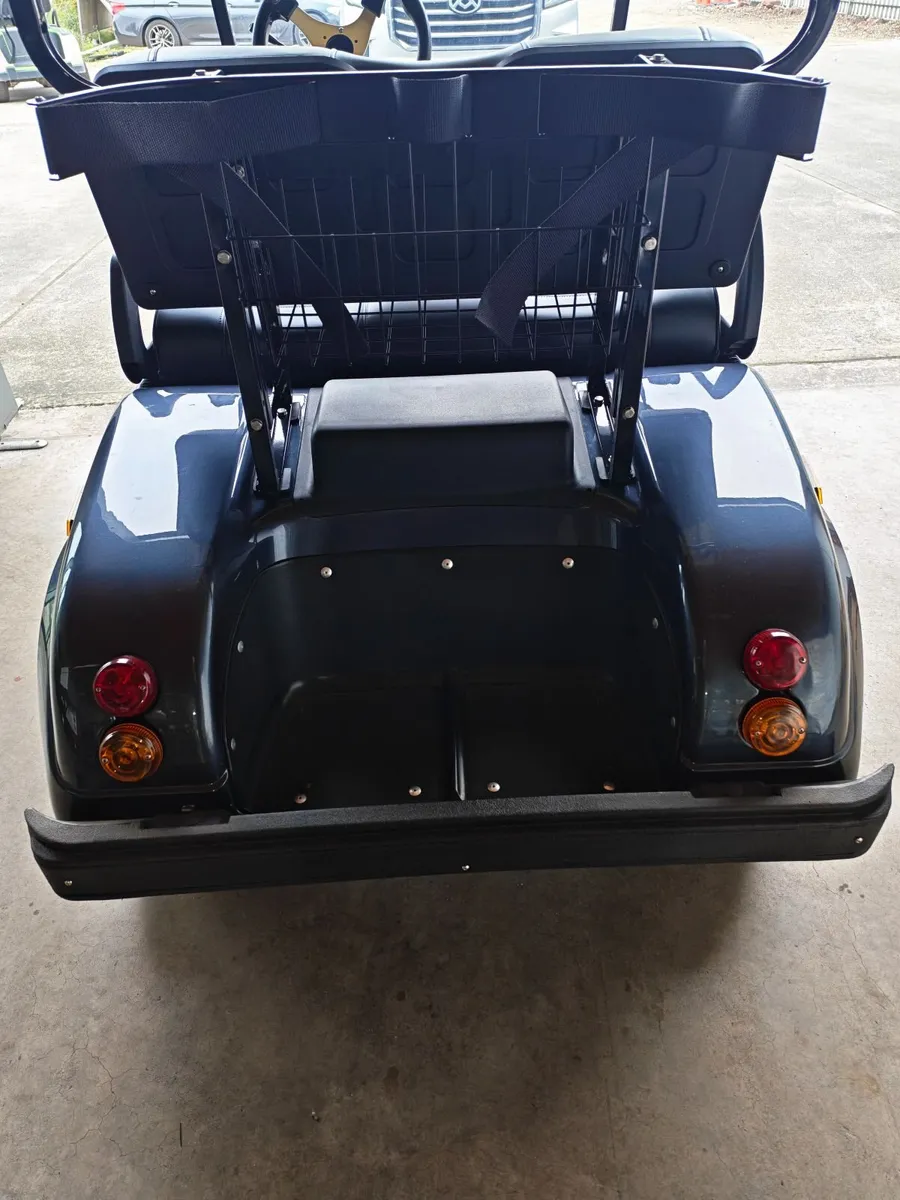 Electric Golf Buggy - Image 3