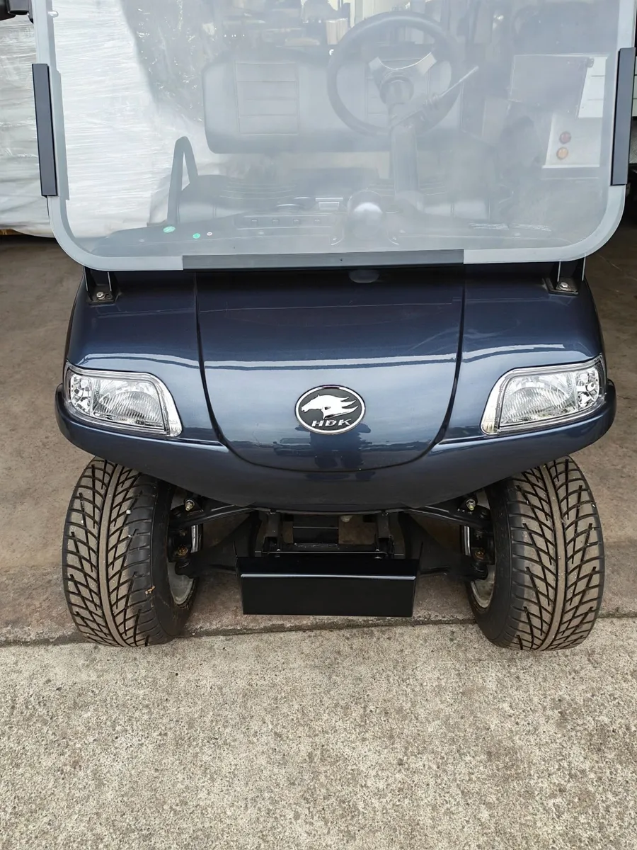Electric Golf Buggy - Image 2