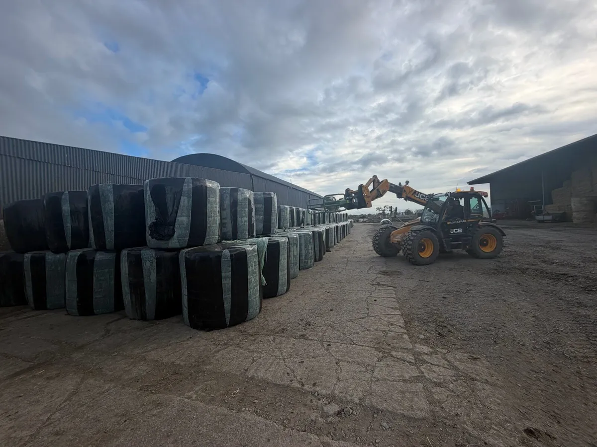 Silage for Sale - Image 1