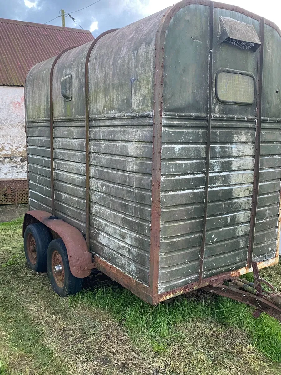 Rice Horse Box - Image 2