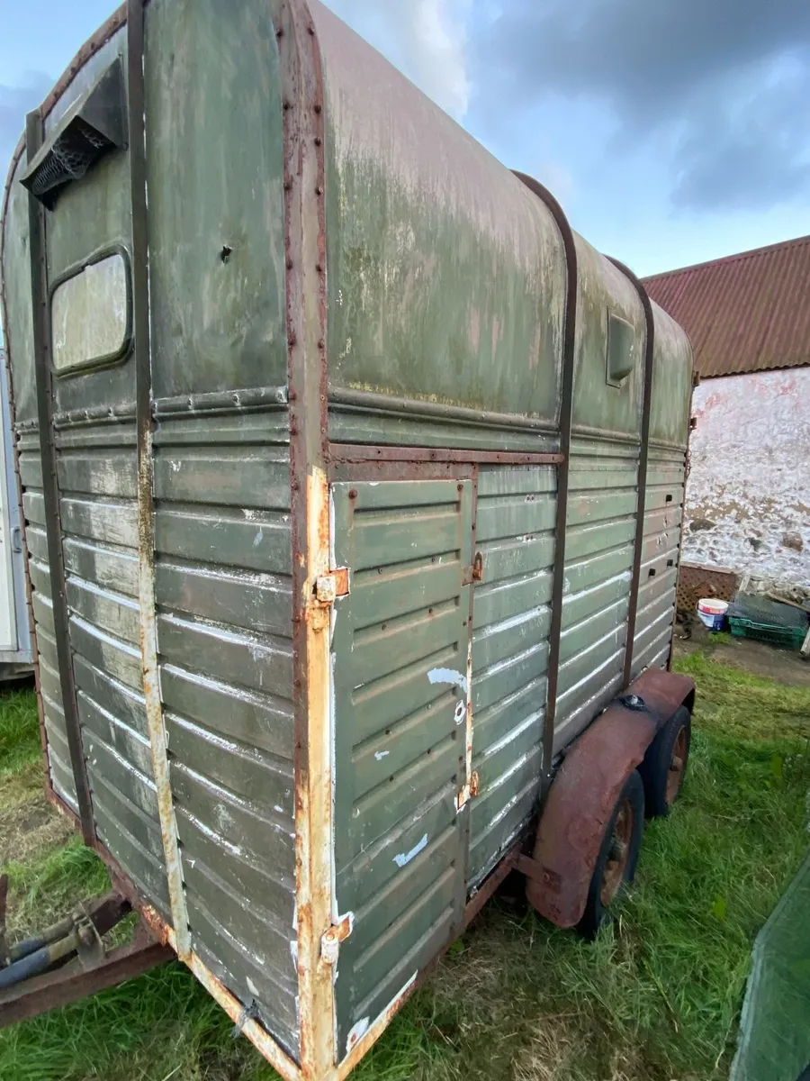 Rice Horse Box - Image 3
