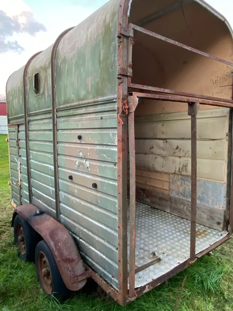 Rice Horse Box - Image 4