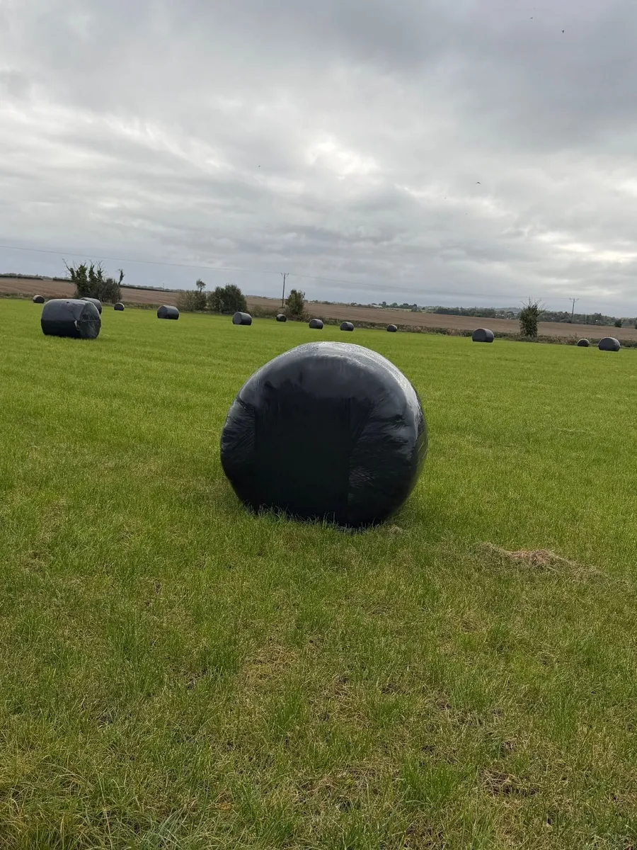 Silage bales