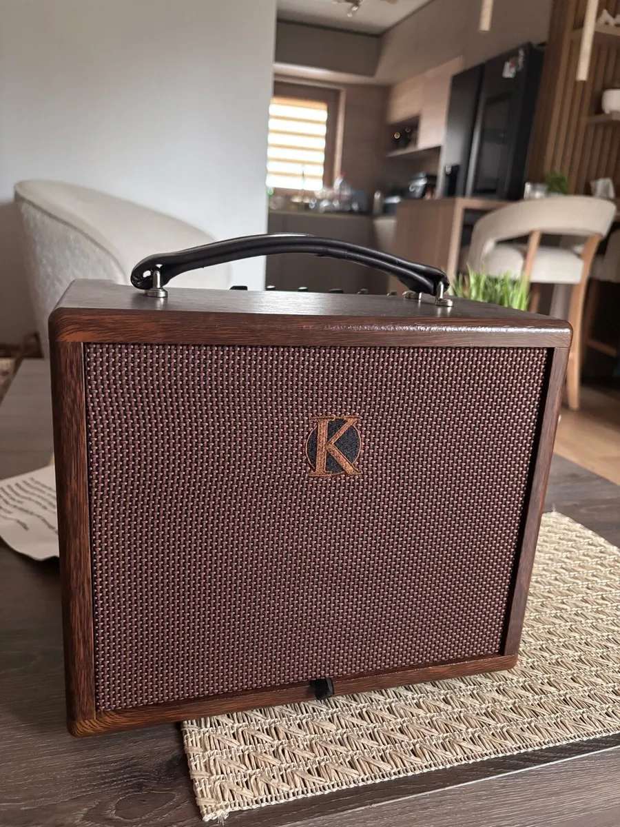 Guitar amplifier Kinsman KAA25 - Image 3