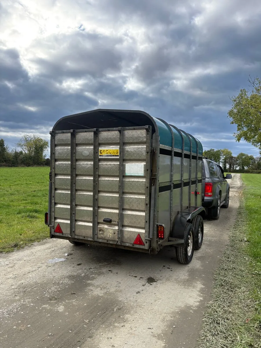 Crooks 10x5ft6 cattle trailer - Image 3