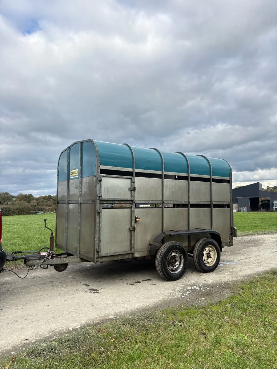 Crooks 10x5ft6 cattle trailer - Image 2