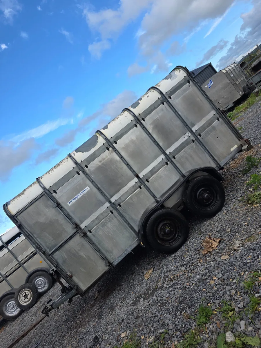 12ft ifor Williams cattle trailer - Image 4