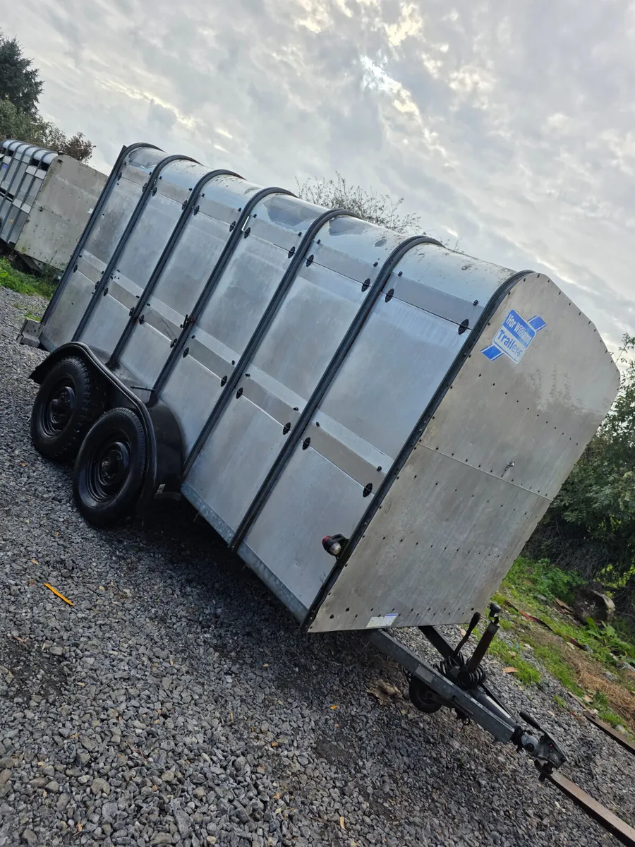 12ft ifor Williams cattle trailer - Image 1
