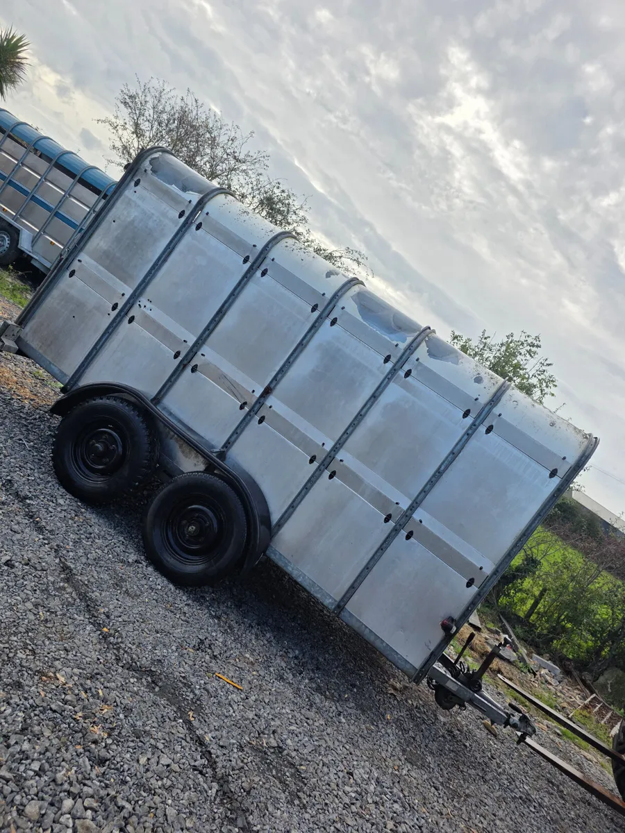 12ft ifor Williams cattle trailer - Image 2