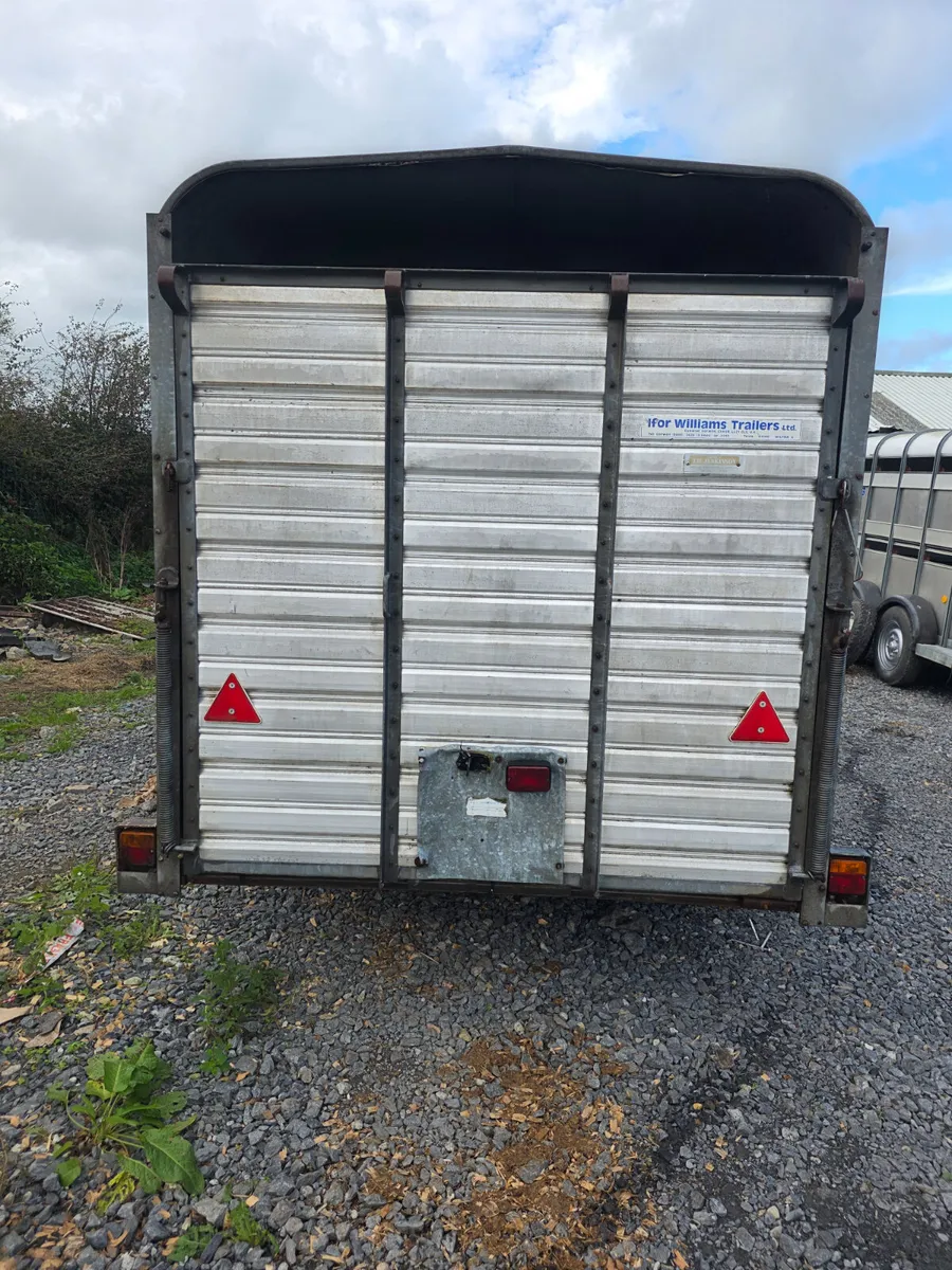 12ft ifor Williams cattle trailer - Image 3