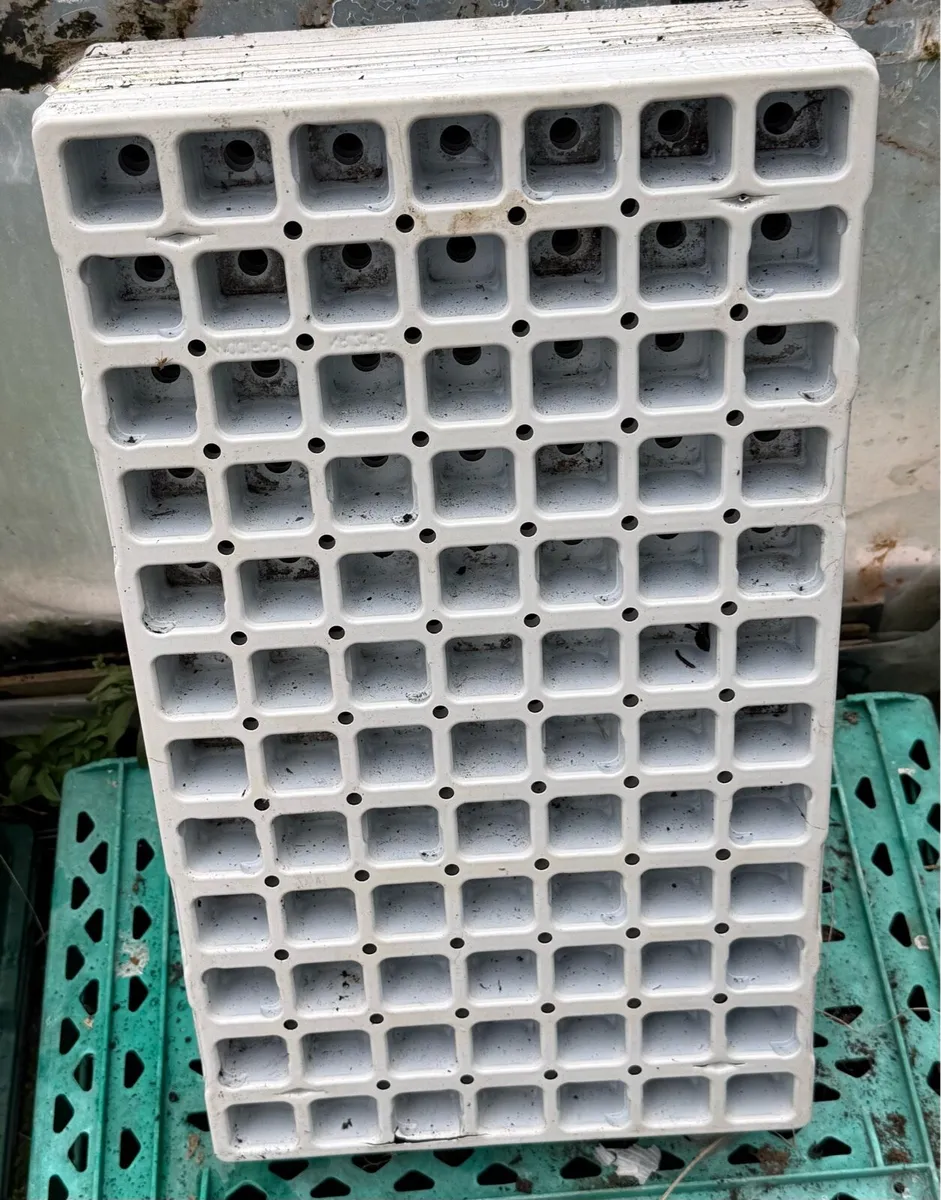 Seedling trays