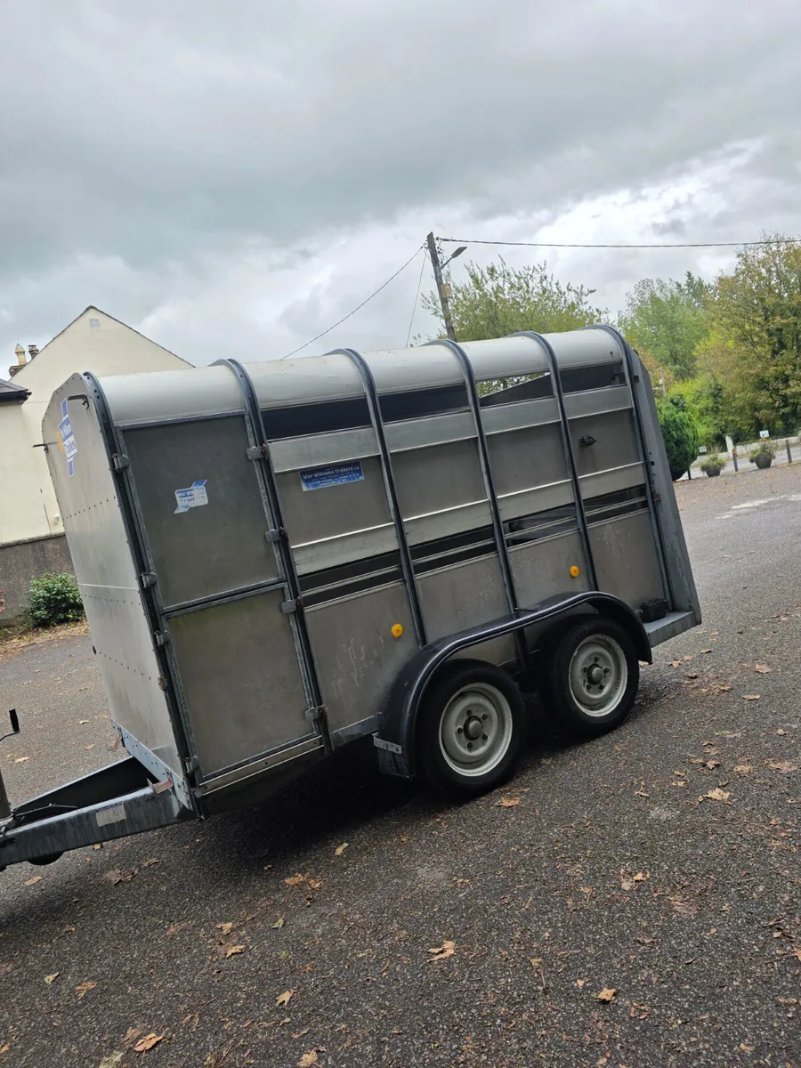 10x5 ifor Williams cattle trailer - Image 2