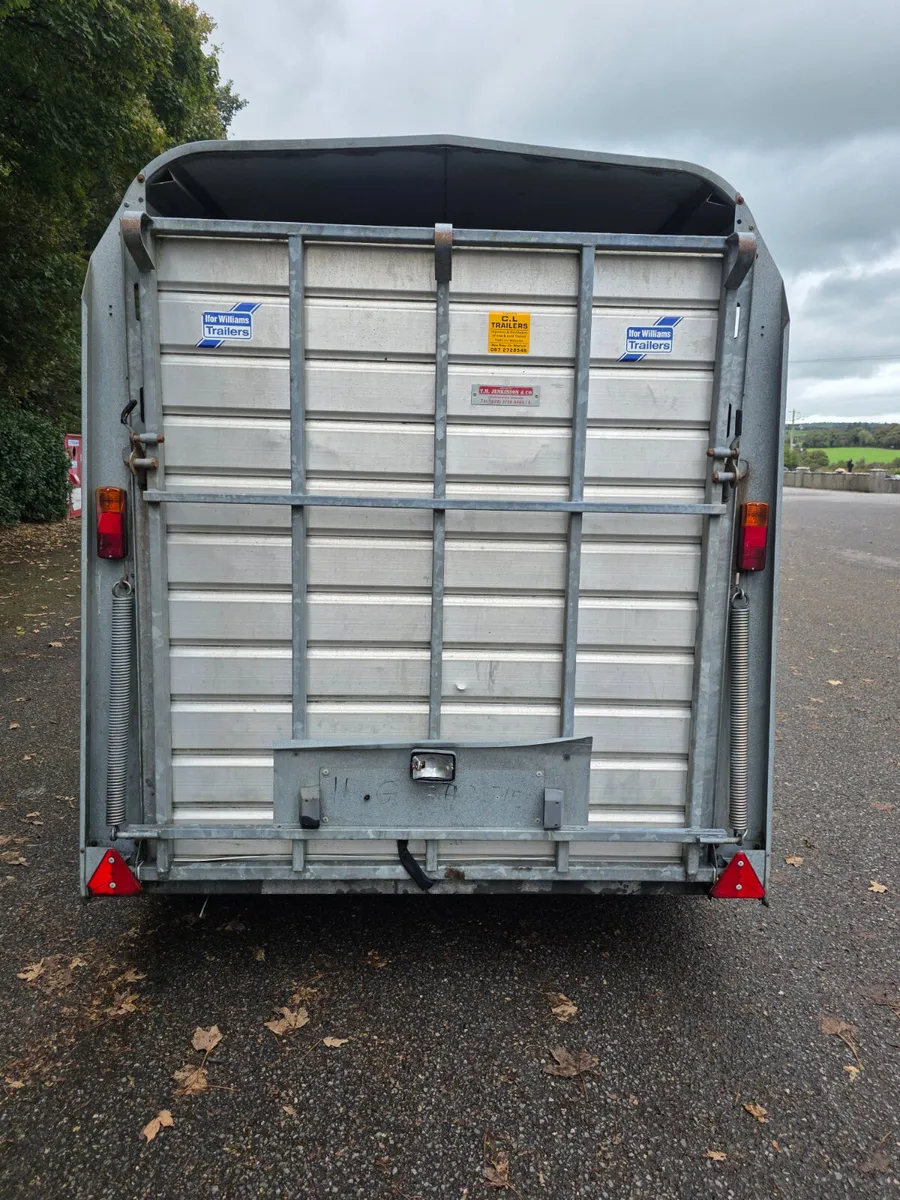 10x5 ifor Williams cattle trailer - Image 3