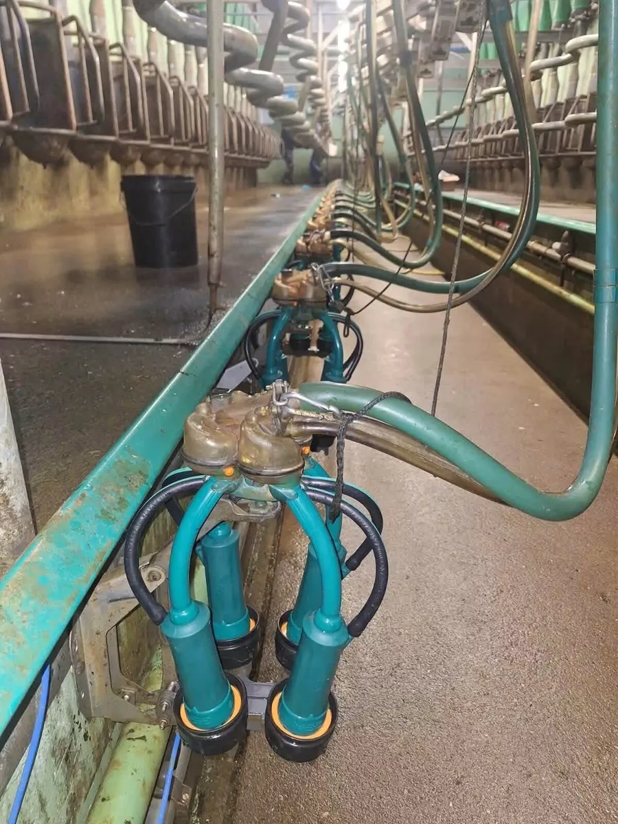 Used GEA milking parlour and drafting system