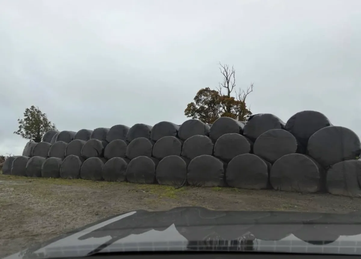Silage Bales