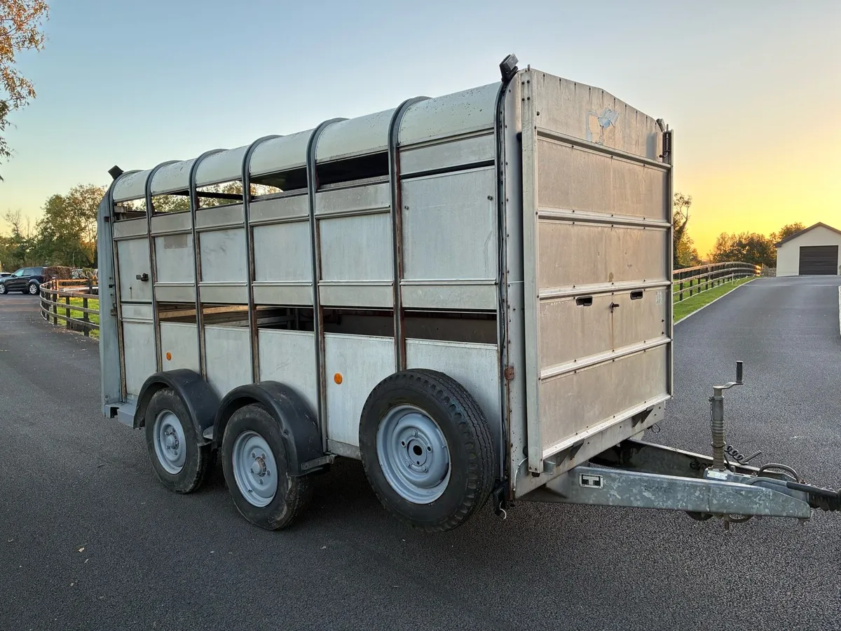 Ifor Williams 12x6 Cattle Box - Image 2