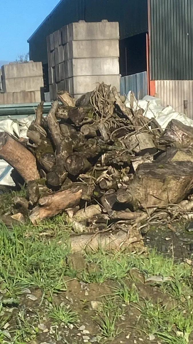 FIrewood