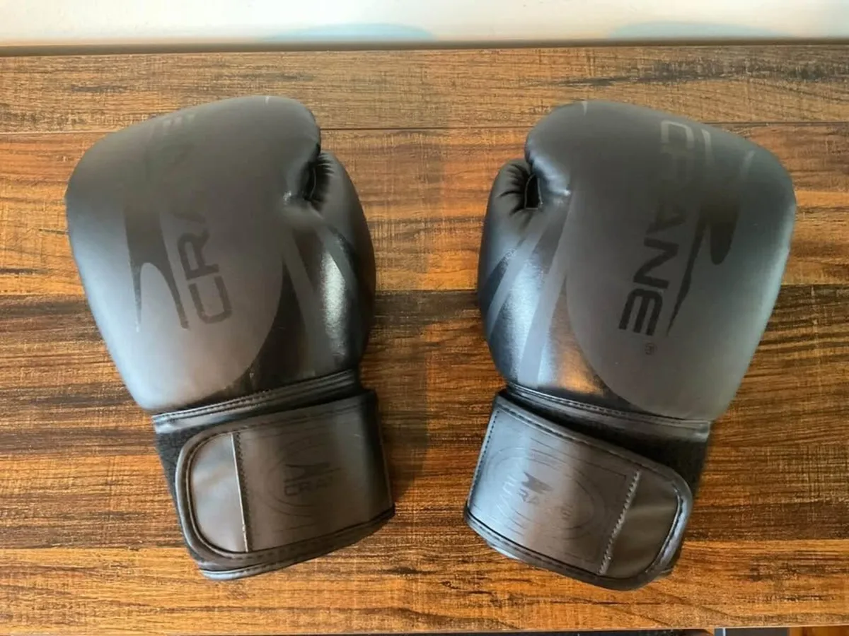Crane 10oz Boxing Gloves – PU Leather - Image 1