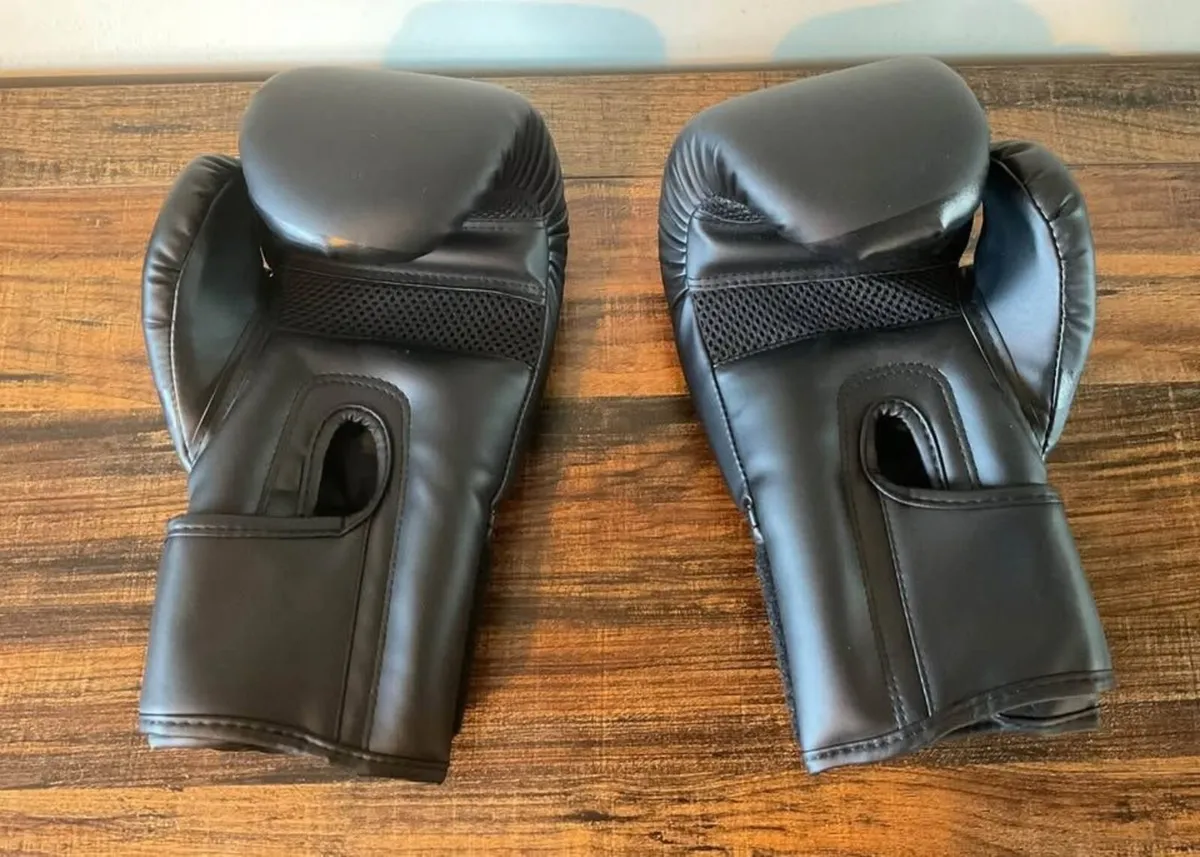 Crane 10oz Boxing Gloves – PU Leather - Image 2