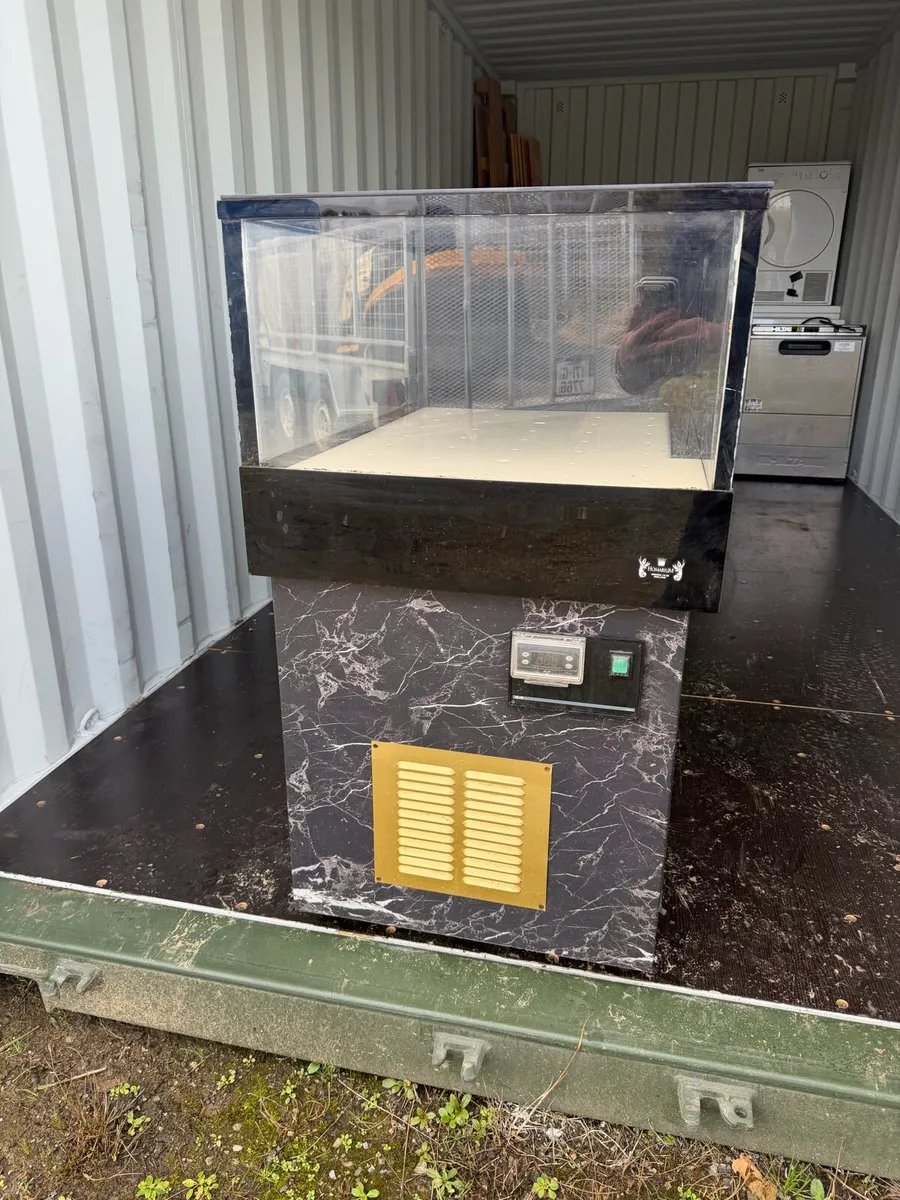 Lobster tank - Image 2