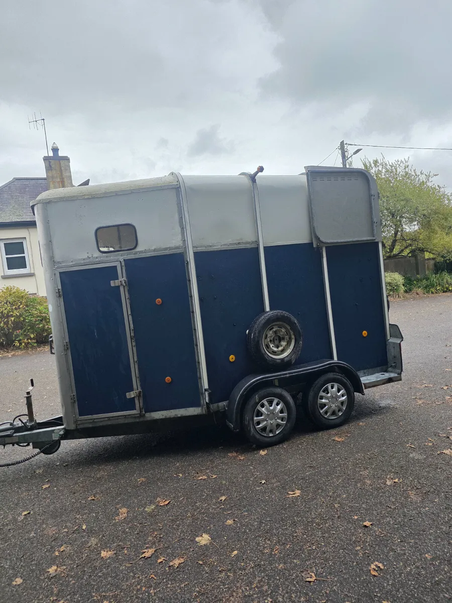 Ifor williams hb510 horsebox - Image 2