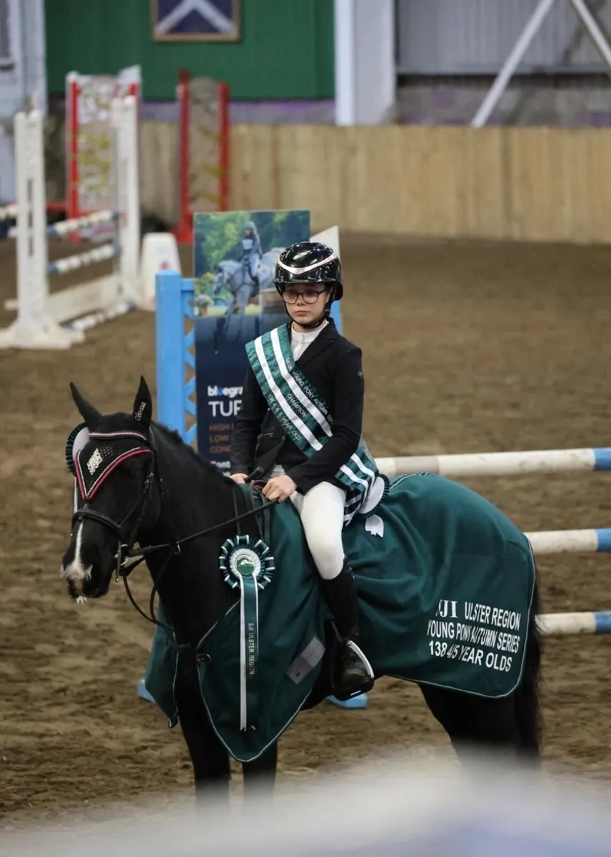 COCO - 138 Mare - Image 1