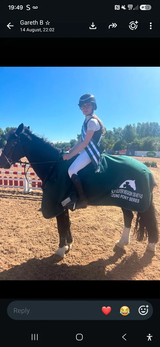 COCO - 138 Mare - Image 3