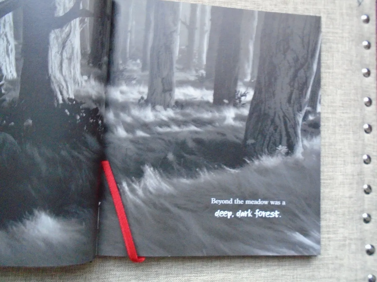 Peter &the Wolf, Hardback book, Fiction, Book - Image 3