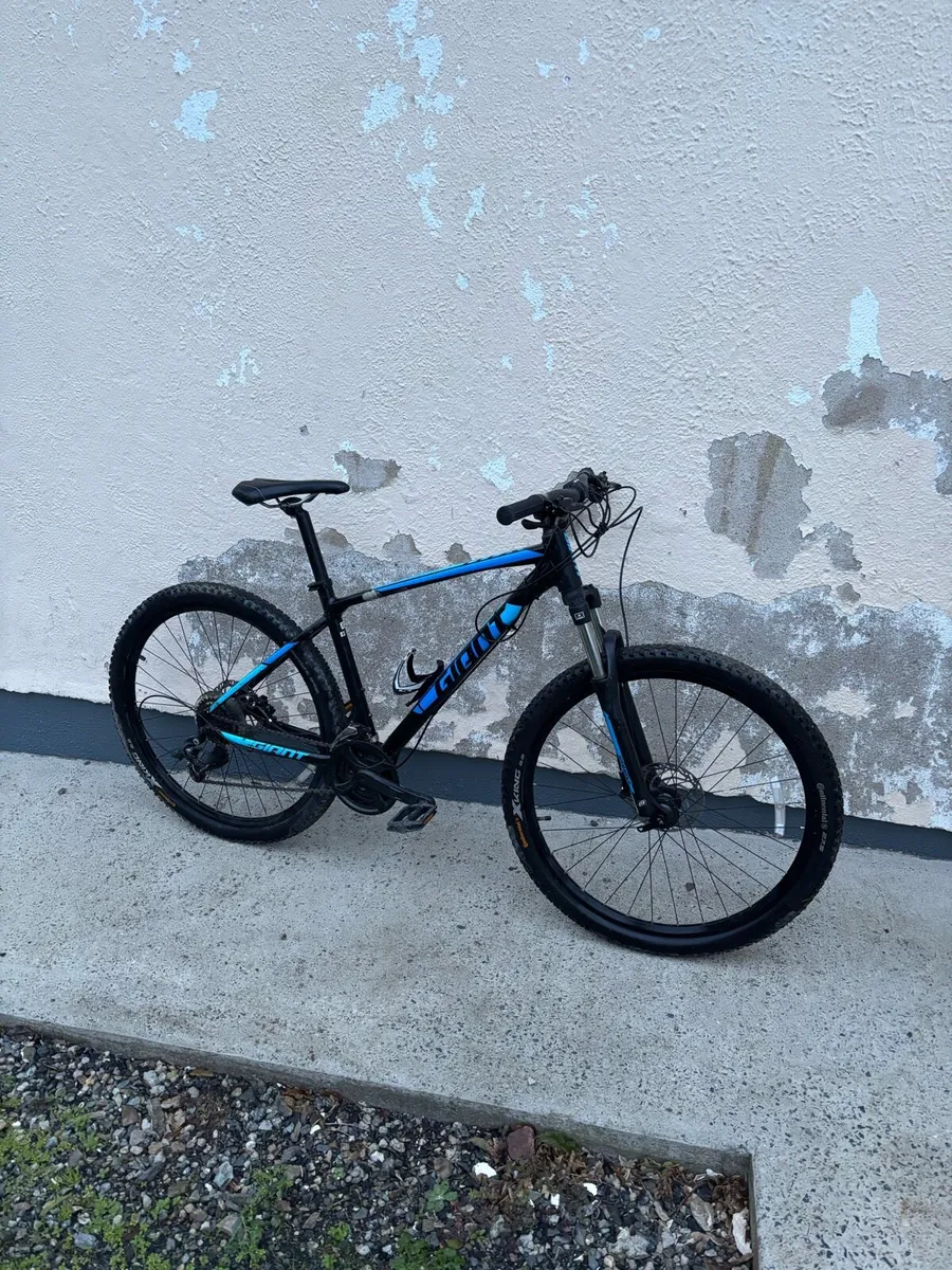 Mountain bike - Image 1