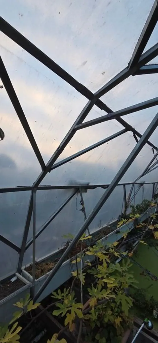 Heavy-Duty Custom Made Polytunnels (2 Available) - Image 2