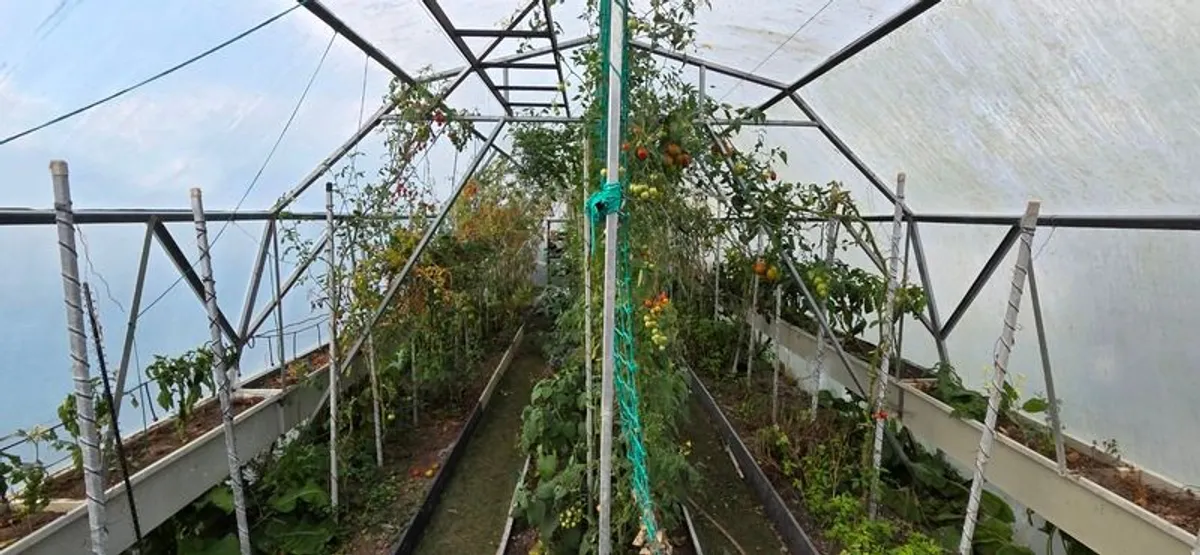 Heavy-Duty Custom Made Polytunnels (2 Available) - Image 3