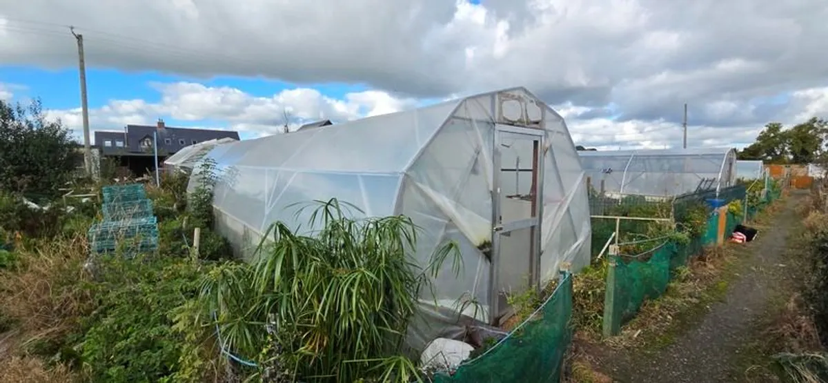 Heavy-Duty Custom Made Polytunnels (2 Available) - Image 1