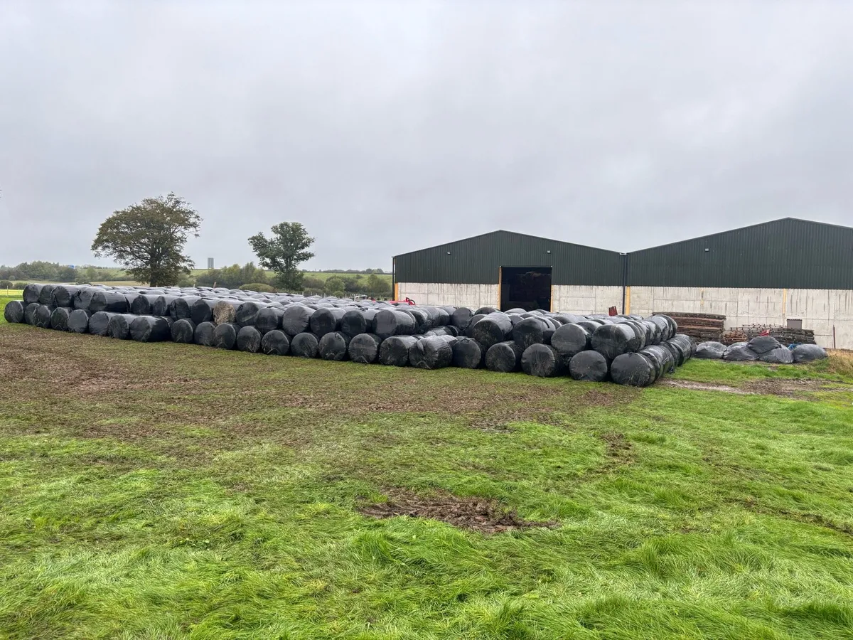 Silage top quality