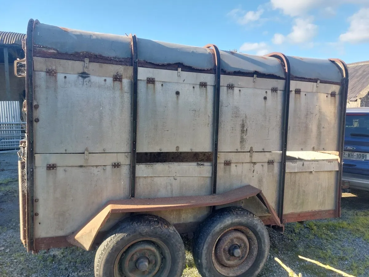 Cattle trailer - Image 2