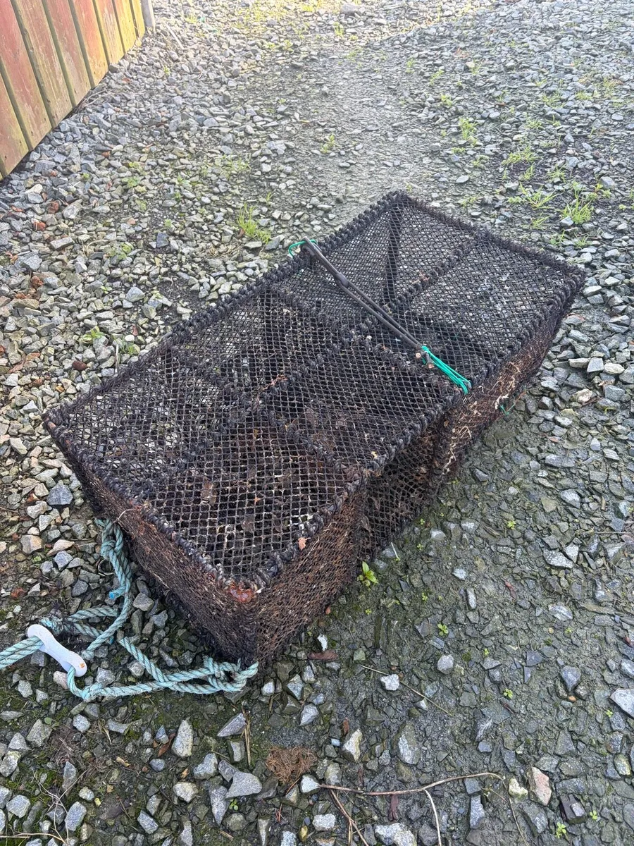 Wrasse pots - Image 1