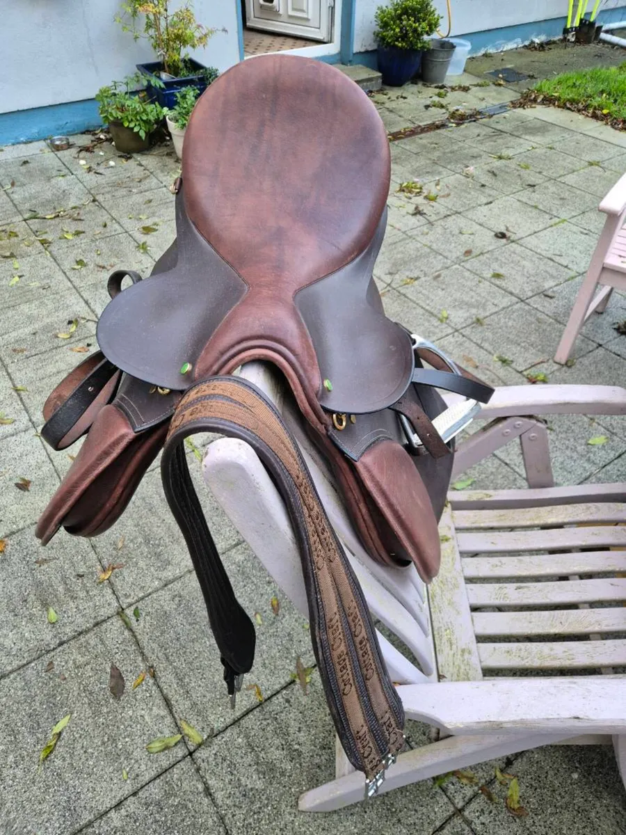 Saddle - Image 2