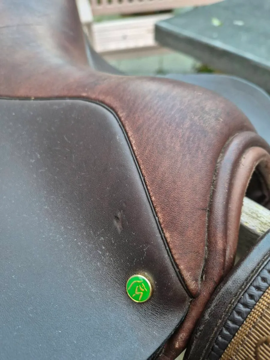 Saddle - Image 3