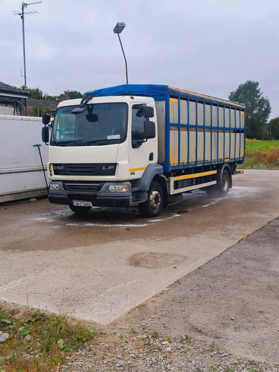 Daf lf 55 Cattle truck fresh test - Image 3