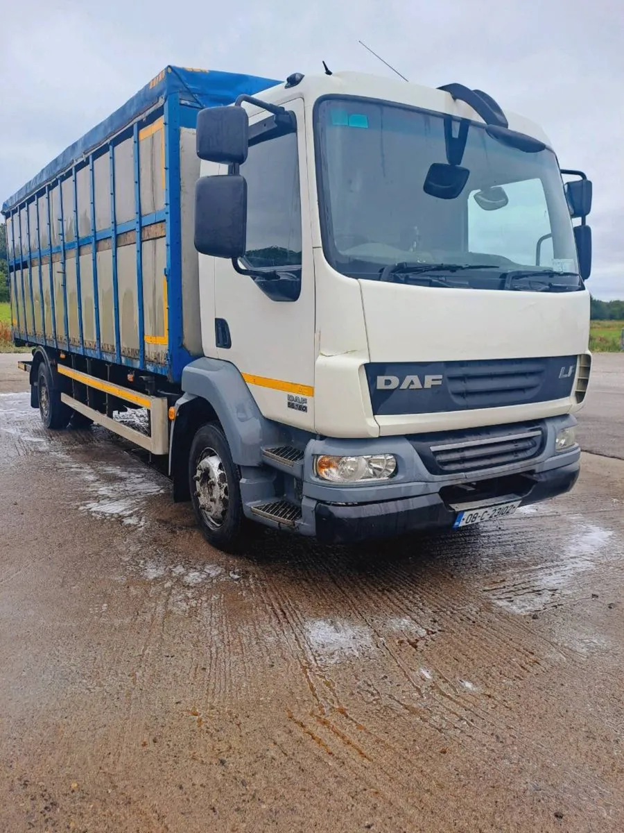 Daf lf 55 Cattle truck fresh test - Image 4