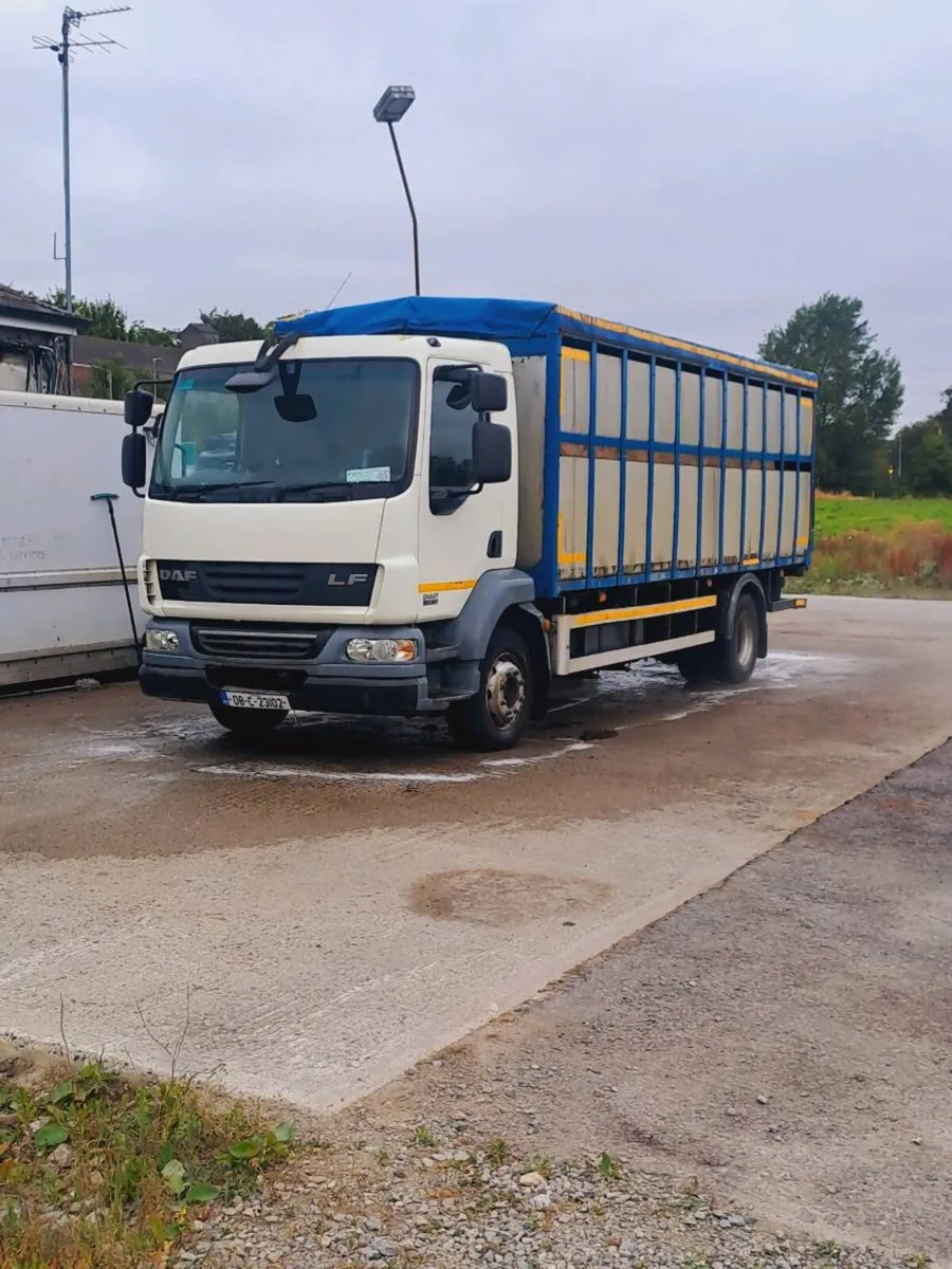 Daf lf 55 Cattle truck fresh test - Image 1