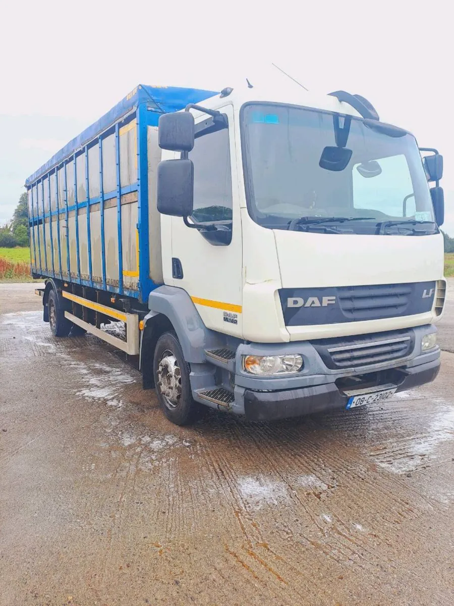 Daf lf 55 Cattle truck fresh test - Image 2