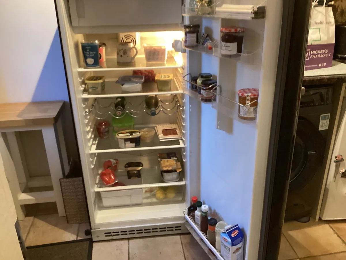 Smeg Fridge - Image 3