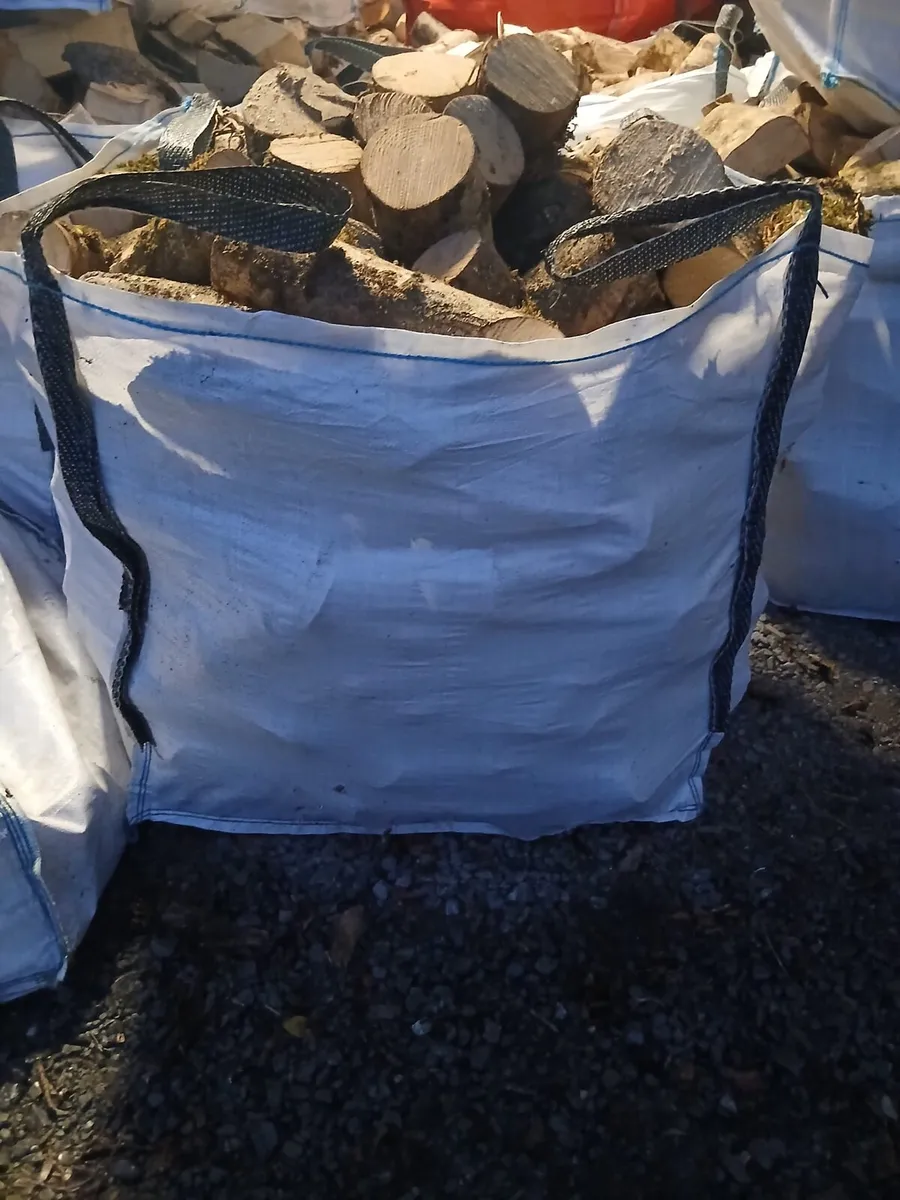 Ash firewood - Image 2